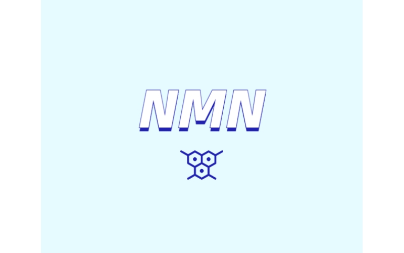 NMN對人體有什么潛在效果？